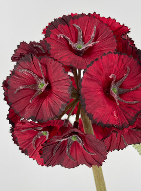 仿真风车草莓球果花艺假花干花办公桌花艺摆件客厅餐桌家装饰品
