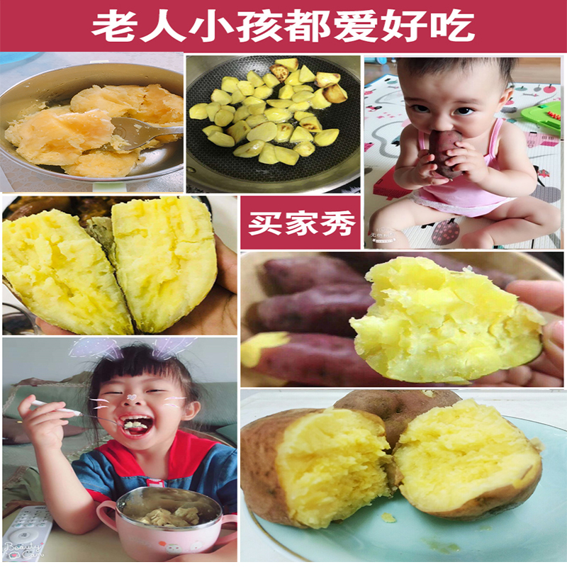 精品果海南澄迈桥头富硒带箱地瓜 果滋谷番薯