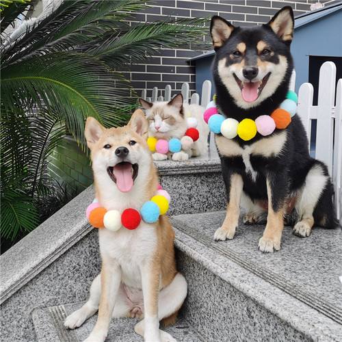 网红抖音同款宠物狗狗猫咪柴犬大型犬毛球项链彩虹糖果色脖圈饰品 - 图2
