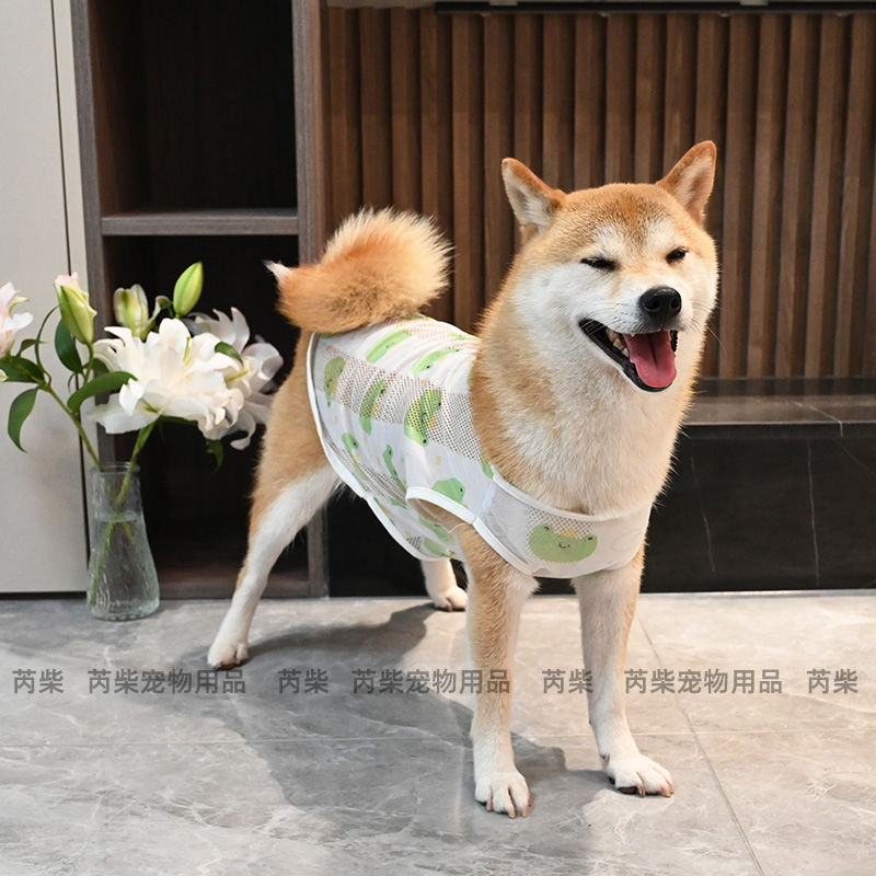 宠物狗狗衣服薄款四季春夏季泰迪柯基柴犬衣服防掉毛清凉透气背心 - 图2