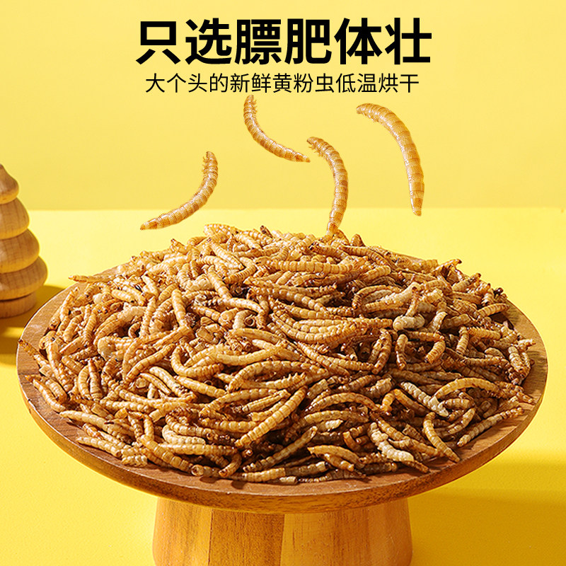 布卡星八哥面包虫干专用鸟粮乌龟刺猬仓鼠零食用品芦丁鸡鸟食饲料,淘宝优惠券,粉丝福利购,淘宝优惠卷