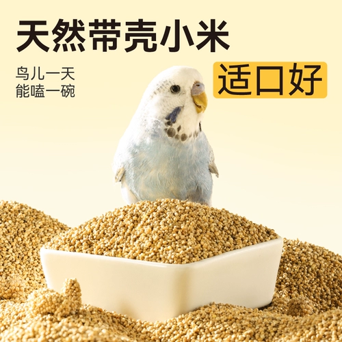 Buka Star Parrot Птицы кормили птицы Скюанфенг Пион Фуд Тигр Кожа Шинхуанг Брукентинг Сяоми 1500 мл