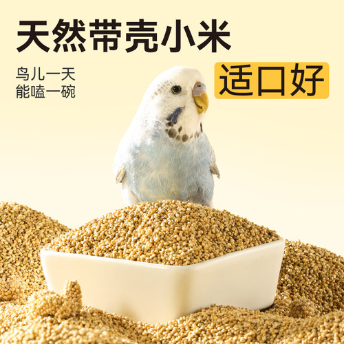 布卡星鹦鹉鸟粮饲料鸟食玄凤牡丹食物虎皮新黄谷子带壳小米1500ml - 图1