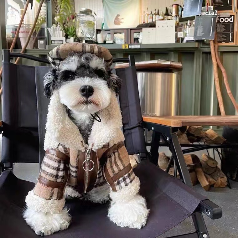 狗狗衣服冬季保暖雪纳瑞法斗比熊泰迪中小型犬猫羊羔毛外套 - 图1