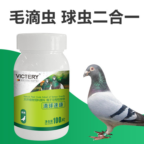 毛滴鸽球二合一专用滴球速康片口黄呼吸道鸽子用品大全 - 图0