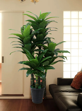 仿真植物盆栽假滴水观音