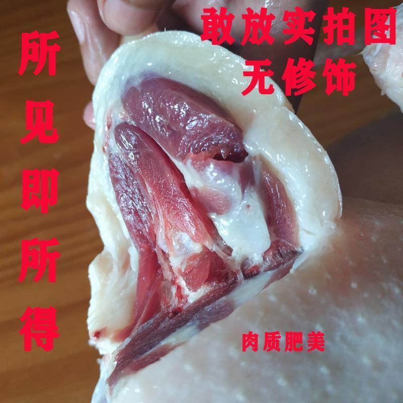 SF Farm Free Range Aged Duck Whole