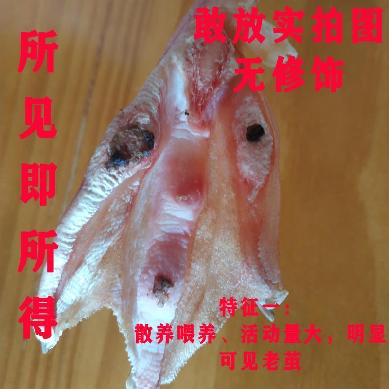 SF Farm Free Range Aged Duck Whole