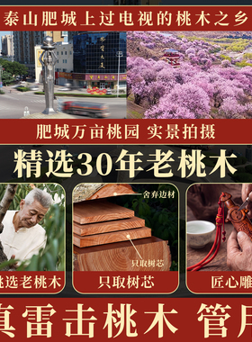 桃木剑婴儿天然雷击紫薇讳七星剑太极真品吊坠宝宝床头客厅小挂件