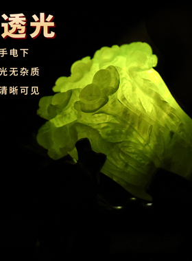 天然玉石摆件岫玉白菜精品原石雕