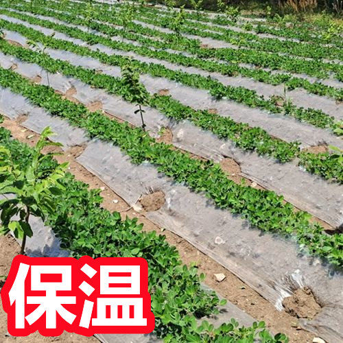农用地膜薄膜纸白膜地摸塑料溥膜加厚种植白色透明种菜地膜一次性 - 图2