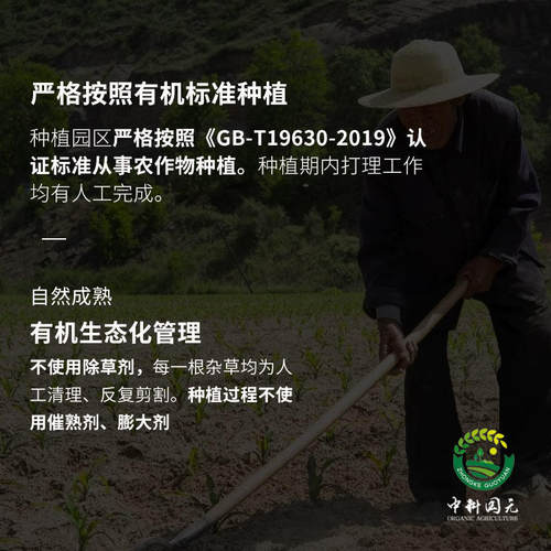 有机青苹果新鲜陕西黄土高原当季水果新鲜当季脆酸甜可口原生态 - 图1