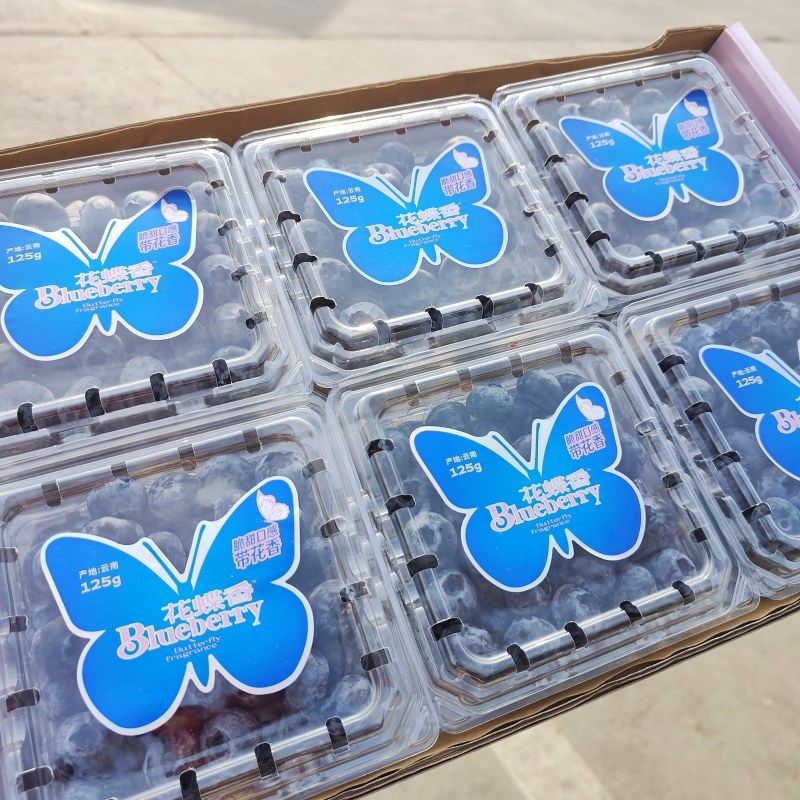 云南花蝶香蓝莓鲜果原箱礼盒12盒大果当季新鲜水果脆甜多汁包邮,淘宝优惠券,粉丝福利购,淘宝优惠卷