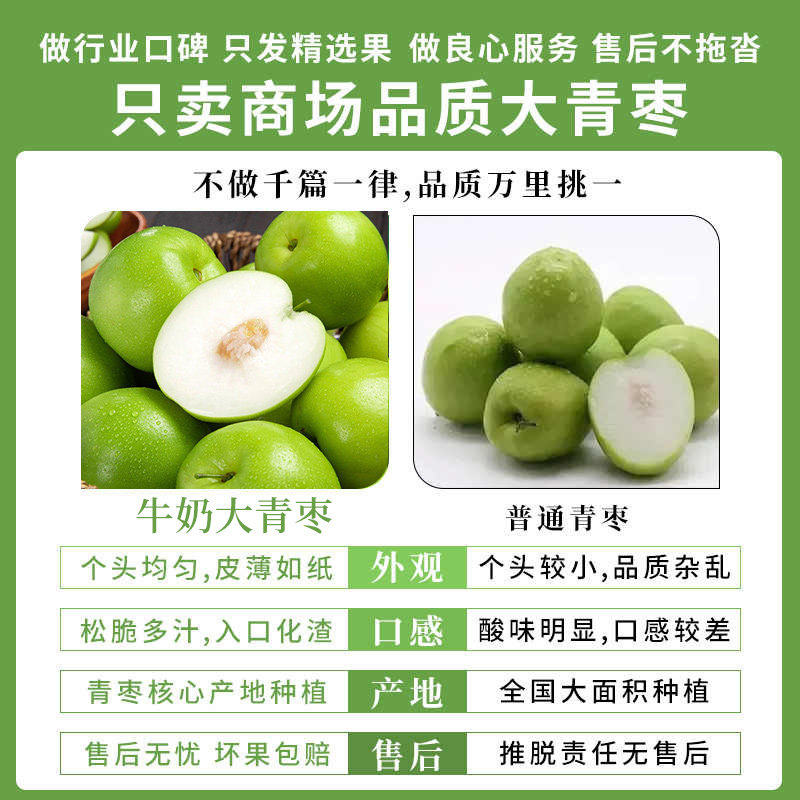 正宗牛奶大青枣奶香青枣孕妇水果整箱新鲜冬枣大果青枣脆甜苹果枣,淘宝优惠券,粉丝福利购,淘宝优惠卷