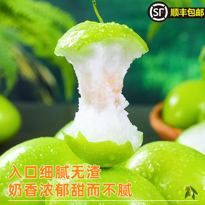 正宗牛奶大青枣奶香青枣孕妇水果整箱新鲜冬枣大果青枣脆甜苹果枣,淘宝优惠券,粉丝福利购,淘宝优惠卷