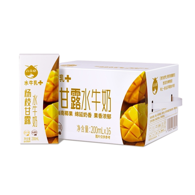 【1月期】百菲酪杨枝甘露风味乳牛奶饮品10盒调制乳营养早餐牛奶