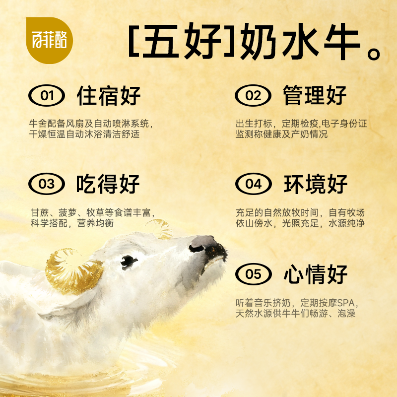 百菲酪4.0g水牛纯牛奶200ml*10盒学生营养早餐牛奶广西水牛奶