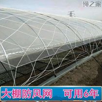 Greenhouse Goods Cultivation Breeding Windproof Net Cover Grass Battlement WINDPROOF NETS PRESS FILM ROPE MESH GREENHOUSE WIND SCREENS NETS