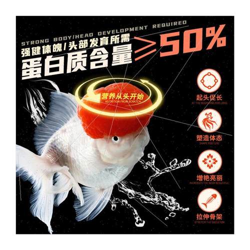 Dolphin Orchid fe Goldfish Matching Feed ons Head Starter Sp - 图3
