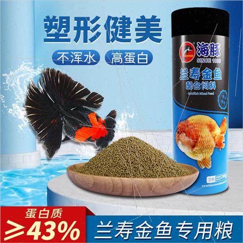 Dolphin Orchid fe Goldfish Matching Feed ons Head Starter Sp - 图1
