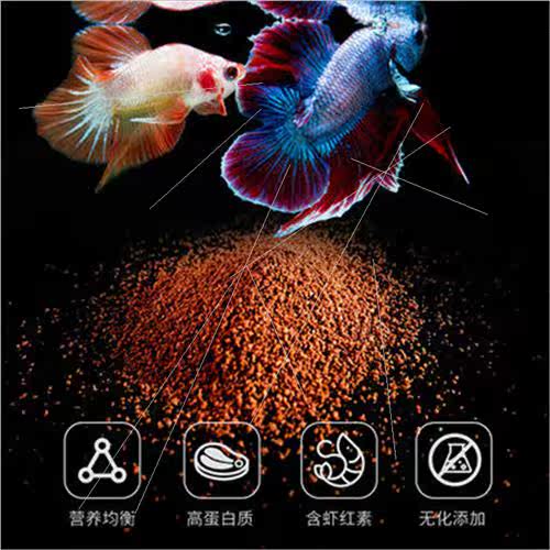 Thai fighting fish fish food small fish feed peacock fish tr - 图0