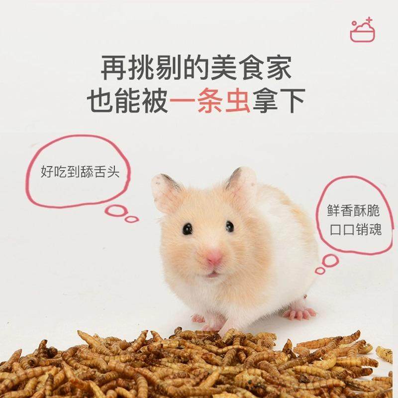 yee面包虫干仓鼠营养零食黄粉虫鹦鹉鸟小乌龟粮食金丝熊饲料,淘宝优惠券,粉丝福利购,淘宝优惠卷