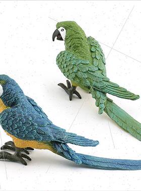 Model mulation Wild Flying Birds Birds Animals Parrots Stati