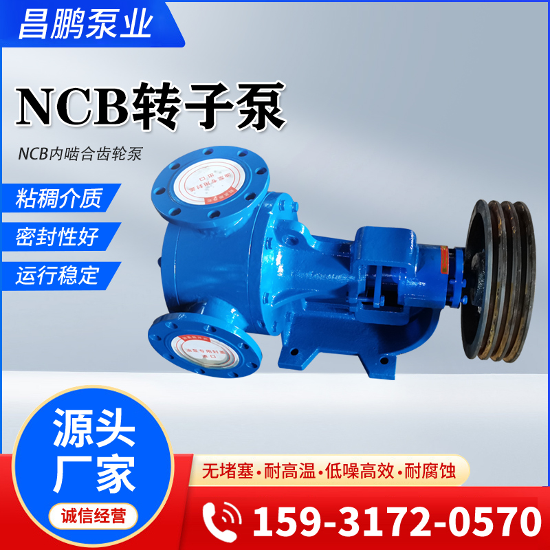 NCB8/0.5高粘度转子泵糖稀沥青泵内啮合齿轮泵稠油泵内啮合齿轮泵-图2