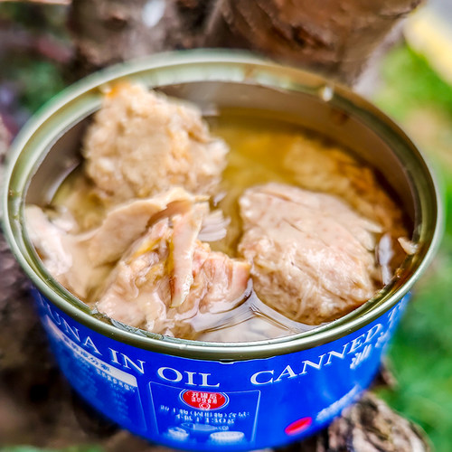 大洋世家浸油黄鳍金枪鱼罐头吞拿大目鱼块罐方便即食拌沙拉佐餐 - 图0