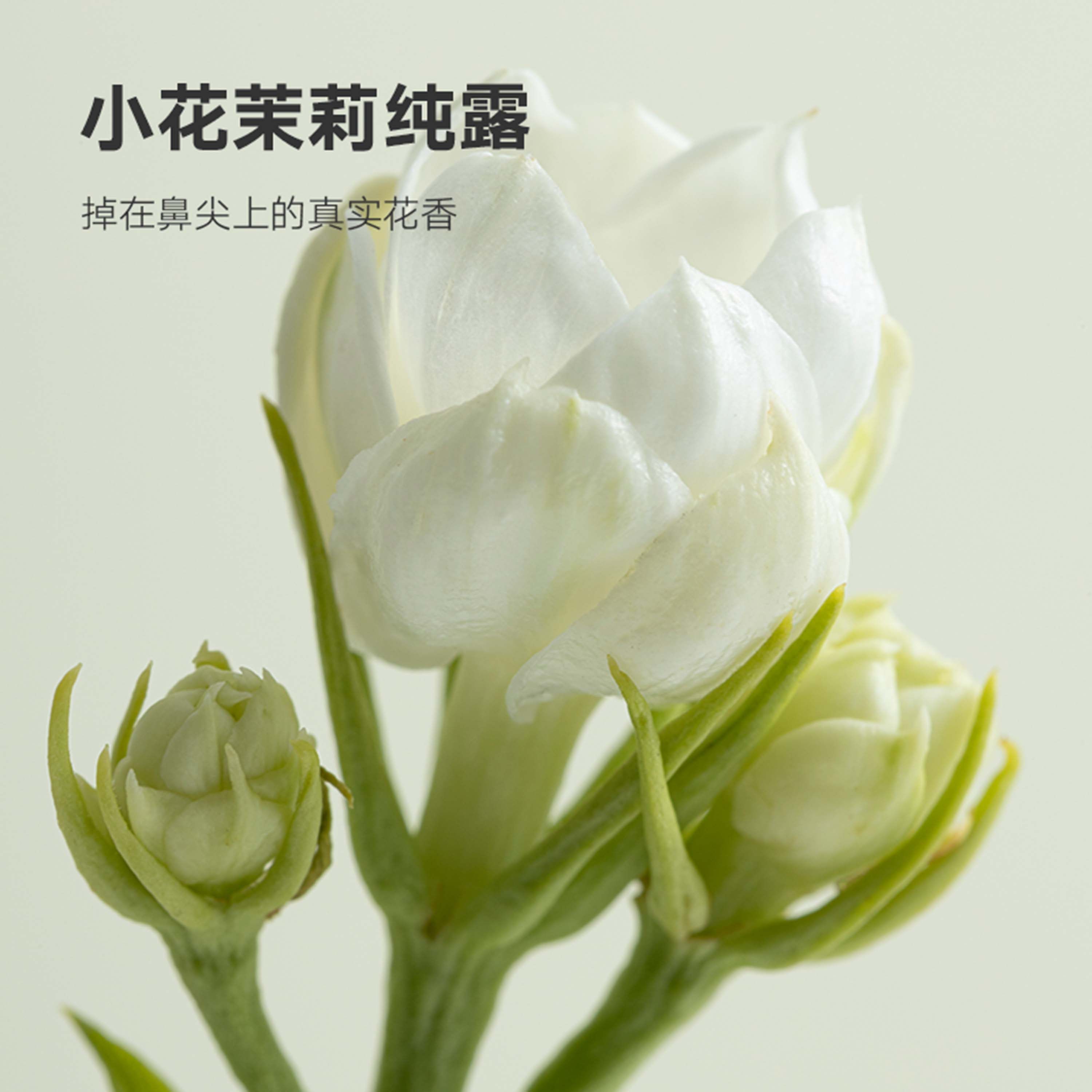  DAISY SKY雏菊的天空纯露/花水