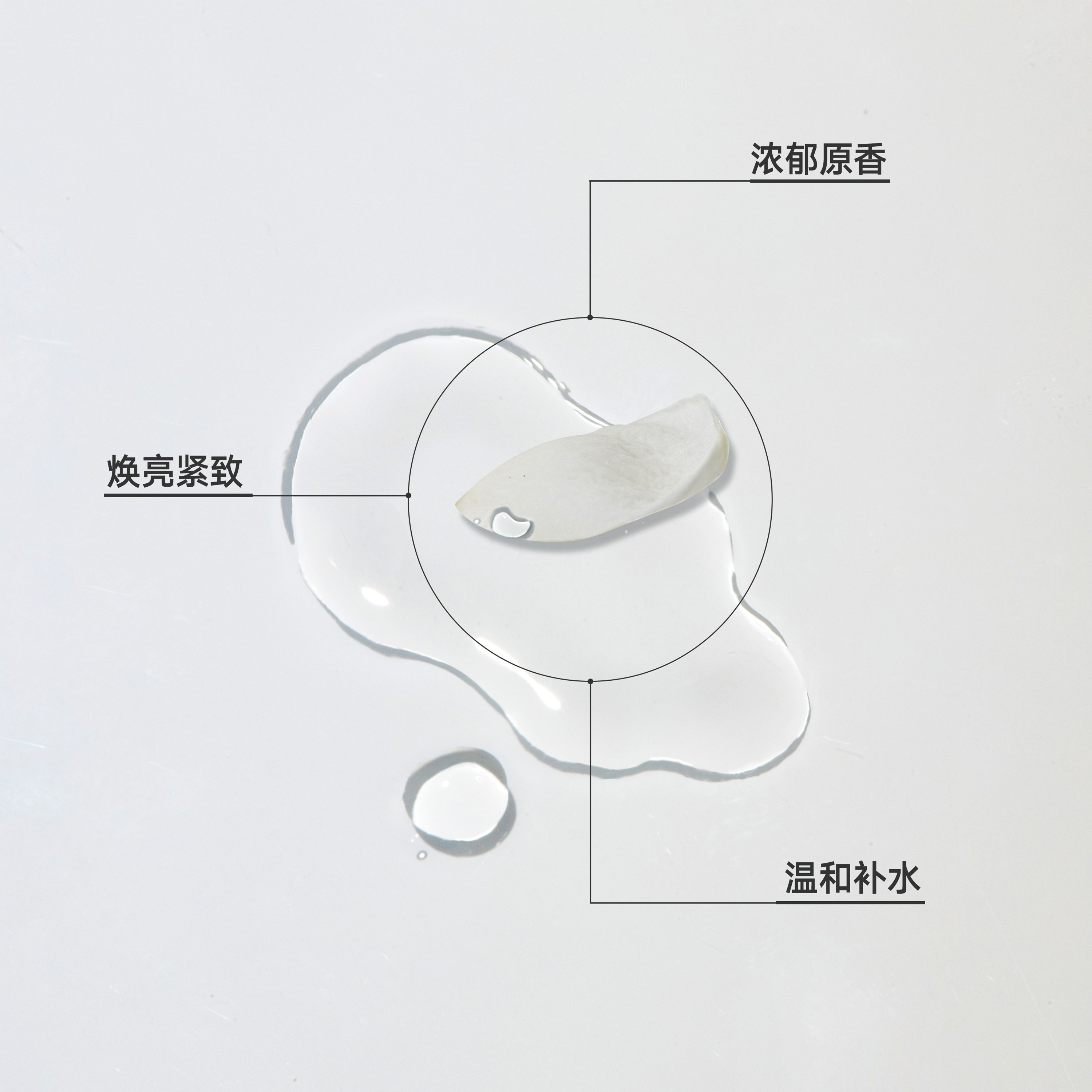 【立即选购】雏菊的天空小花茉莉纯露补水喷雾爽肤水湿敷水护肤,淘宝优惠券,粉丝福利购,淘宝优惠卷