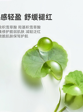 【双11现货】雏菊的天空积雪草多元修护精华液舒缓修护保湿精华