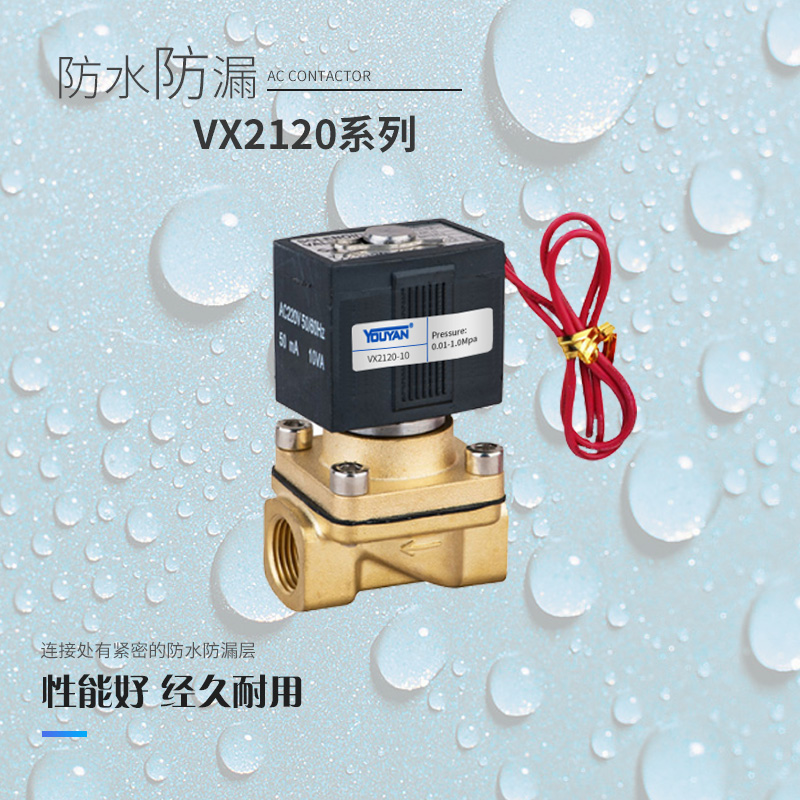 VX2120-06/08/10/15电磁VX2130水阀2140 VXD2215 2220 2315 2320 - 图1