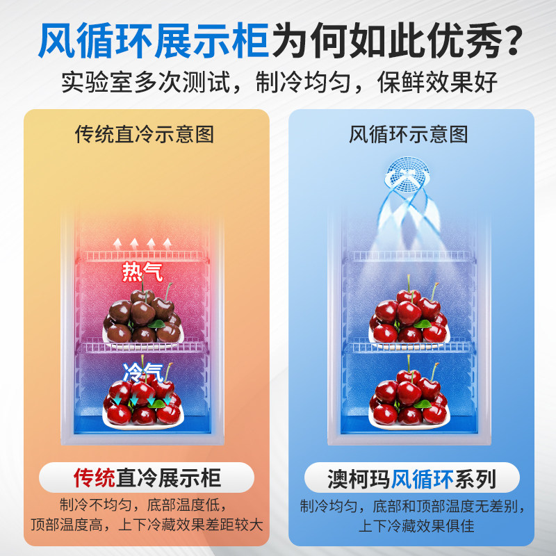 澳柯玛冷藏展示柜立式保鲜单冰柜 澳柯玛商用展示柜