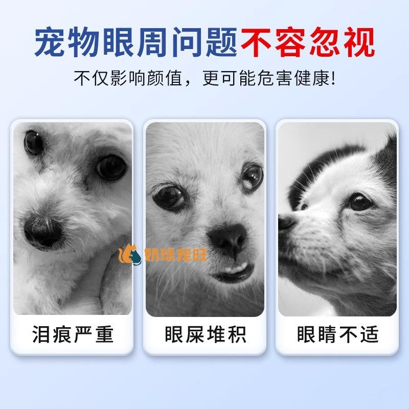 比熊犬专用狗狗泪痕粉眼部清洁擦眼周干燥粉眼屎多去缓解泪痕神器,淘宝优惠券,粉丝福利购,淘宝优惠卷
