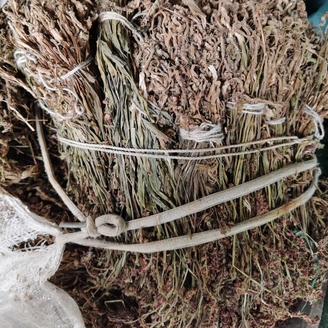 盘龙参250g包邮贵州中草药龙抱柱镰刀草海珠草龙盘旋猪鞭草鲤鱼草