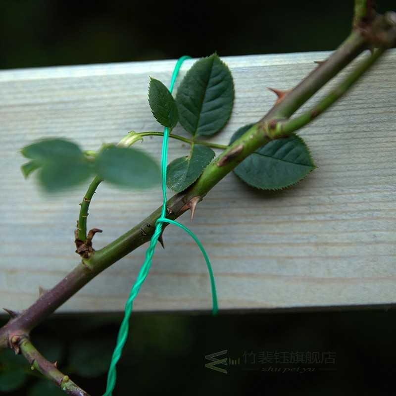 Gardening wire binding rope climbing vine flower thread with - 图2