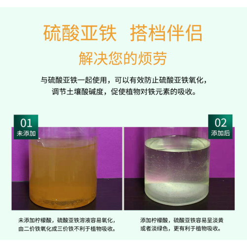 硫酸亚铁伴侣防氧除垢剂化柠檬酸土壤调酸剂喜酸性植物花卉肥料 - 图0
