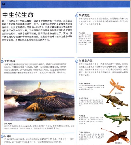 DK恐龙知识大百科 儿童 学校 彩图 版精装图鉴 3至15岁幼儿中小学生恐龙大全恐龙故事立体绘本科普书籍 揭秘恐龙王国世界百科全书 - 图2