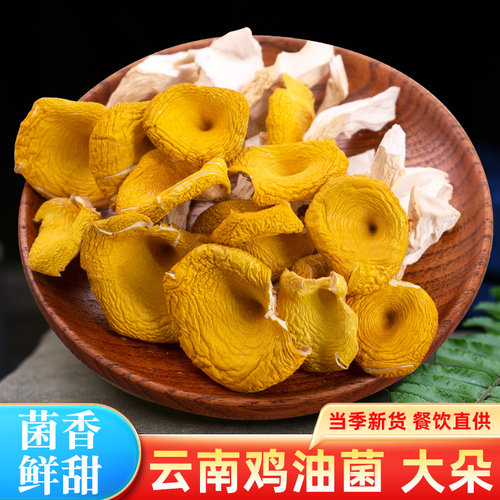 鸡油菌干货500g云南特产黄菇蘑菇黄丝菌干菌类榆黄蘑鸡油黄菌煲汤 - 图0