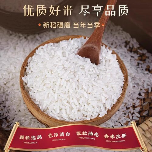 25新米 黑龙江长粒香大米3斤东北粳米香米农家自种优质新米现磨 - 图1