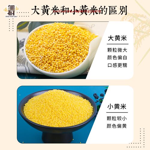 东北农家大黄米黍米五谷杂粮饭糯小米粘米粥粽子年糕糍粑专用新米 - 图1