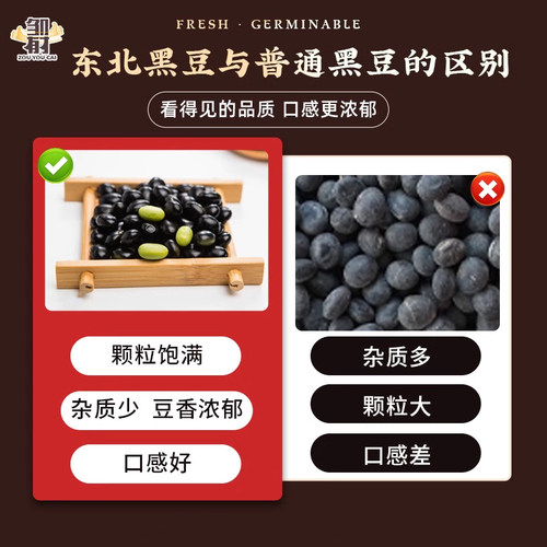 东北绿心黑豆 新货黄仁打豆浆专用五谷杂粮农家黑豆青仁绿芯尝鲜 - 图1