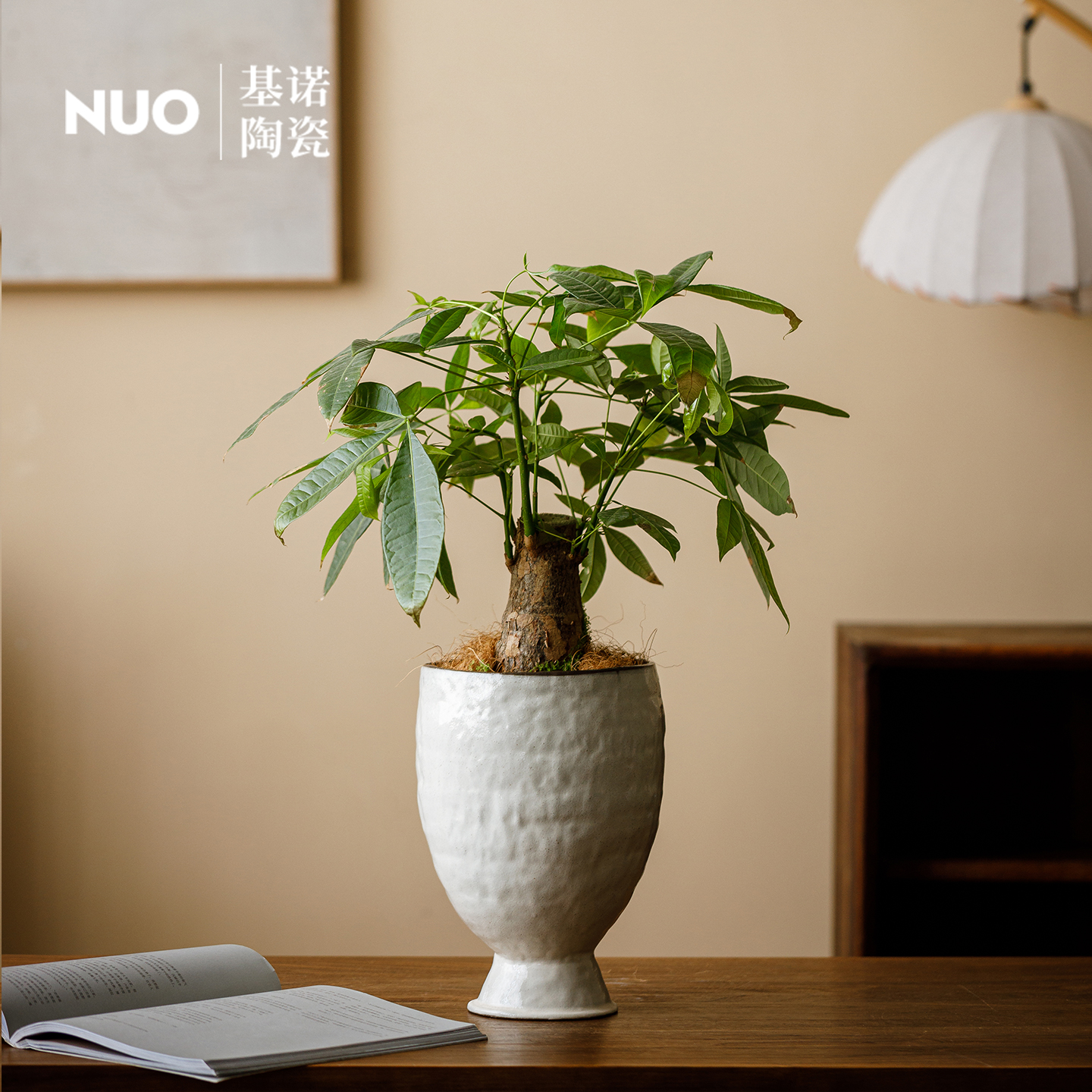 景德镇简约陶瓷花盆阳台家用水培多肉盆兰花蝴蝶兰发财树月季盆栽 - 图0