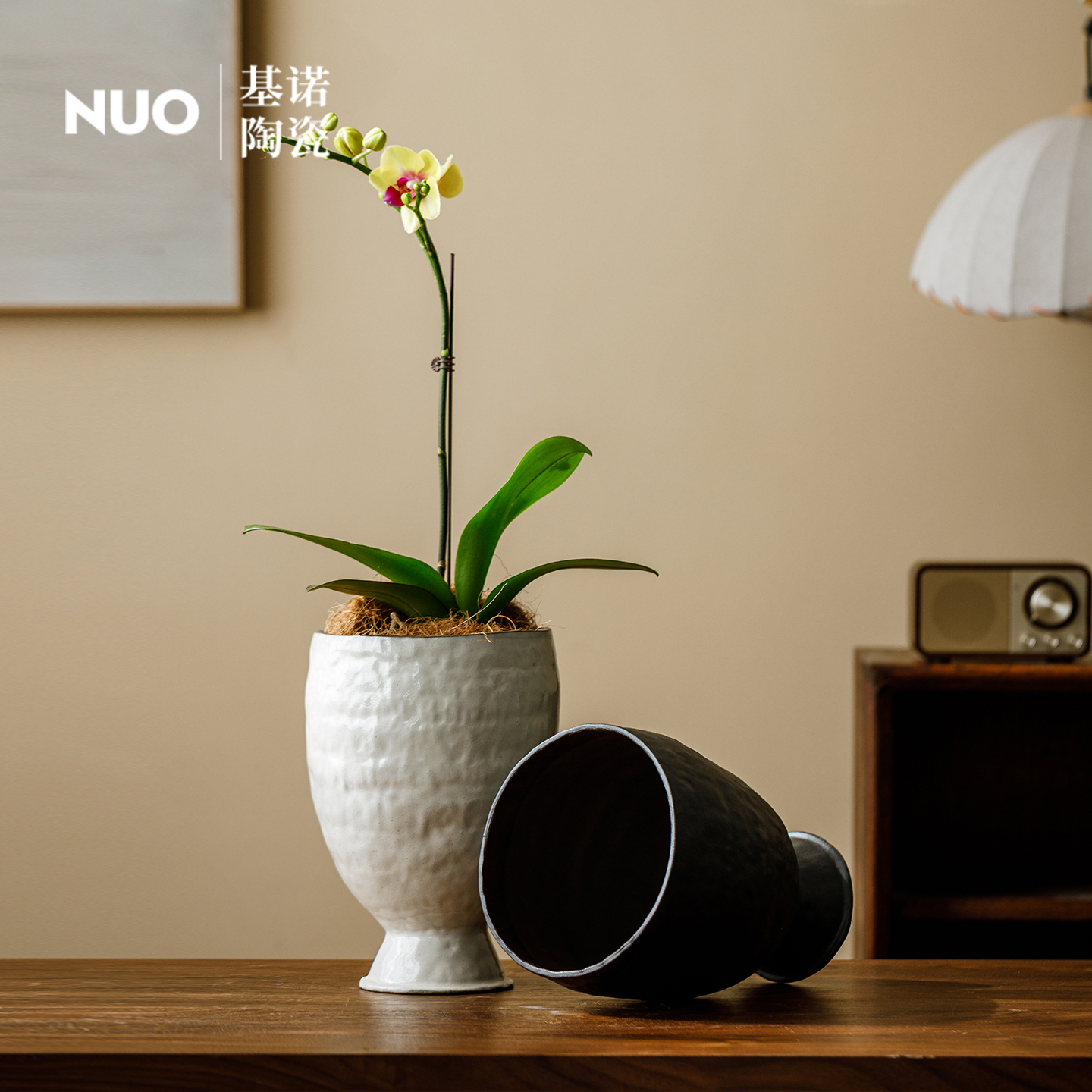 景德镇简约陶瓷花盆阳台家用水培多肉盆兰花蝴蝶兰发财树月季盆栽 - 图1