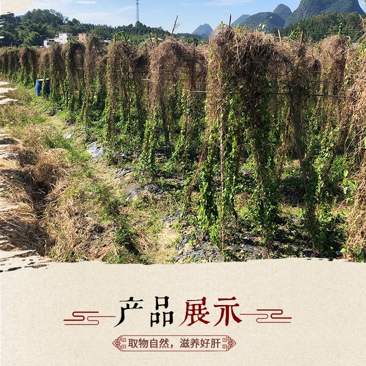 韶关特产养肝草丝线根养肝草龙须酒店食材开胃草广东汤料养干草肝 - 图2