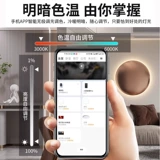 Умная светодиодная лента, потолочная лампа для гостиной, 24v