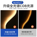 Умная светодиодная лента, потолочная лампа для гостиной, 24v