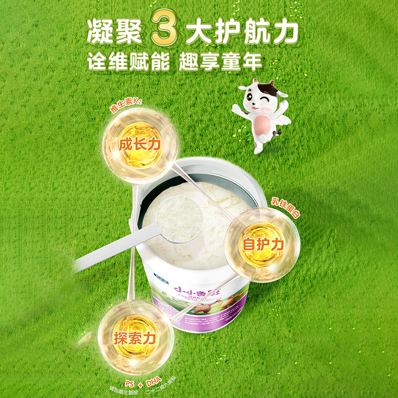 小小鲁班诠维爱AII4段800g*12罐