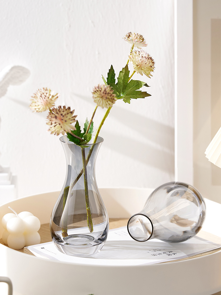 北欧ins 风简约透明玻璃花瓶水培鲜花插花装饰品客厅桌面迷你摆件 - 图1